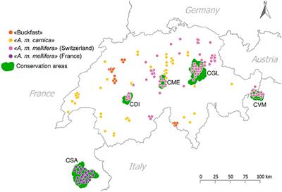 Using Whole-Genome Sequence Information to Foster Conservation Efforts for the European Dark Honey Bee, Apis mellifera mellifera